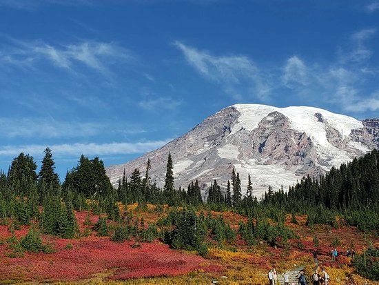 Mount Rainier National Park